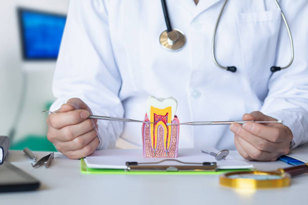 Best Emergency Root Canal Treatment in Machesney Park, IL